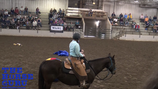Equine Affaire Clinic - Getting A Hot Horse To Be Calm
