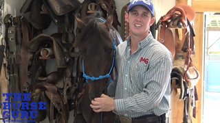 MG Halter (Noseband Placement)
