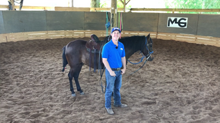 Intro To Long Lining / Ground Driving With Tito