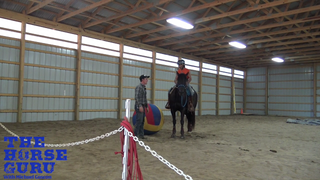 Working Through Extreme Obstacles With Bodie