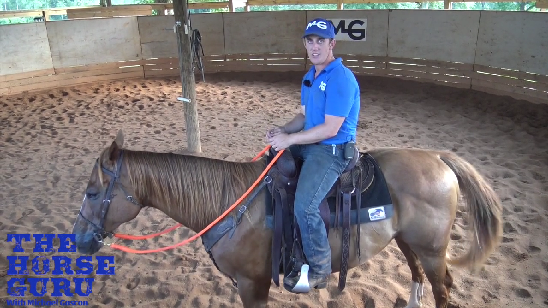 Building Rider Confidence At The Canter – Horse Help