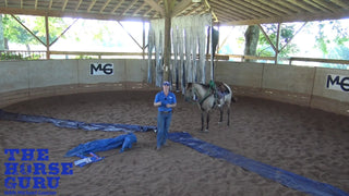 How To Make Any Horse An Obstacle Horse