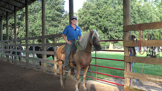 Driving A Gaited Horse Up Into The Bridle