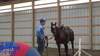Getting Your Horse's Attention With Belle Day 1