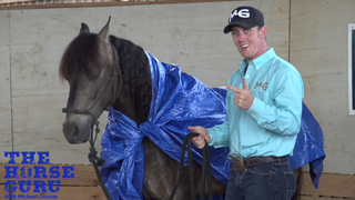 Second-Grade Desensitizing: Teach Your Horse to Stand Still