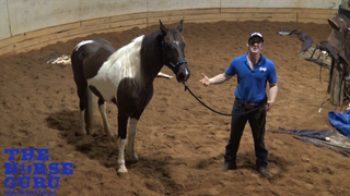 Eighth Grade: Disengage Your Horse’s Hindquarters