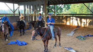 The Thunderdome: Horse Desensitization Training for Real-World Confidence