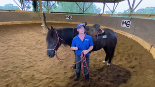 Fifth-Grade Horse Training Q&A: Flexing, Groundwork, Tying, and Long-Lining