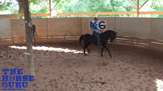 Intro To Spinning With A Hot Horse