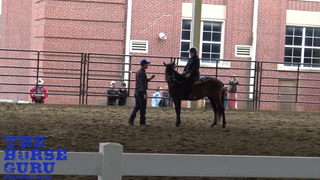Equine Affaire Clinic - Overcoming Obstacles