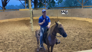 Starting To Gait On A Green Horse