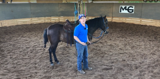 How to Long Line a Horse | Ground Training Fundamentals