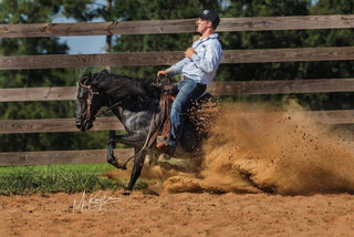 Speed Control for Horses