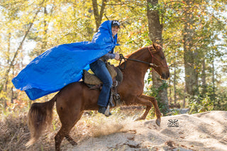 The Challenges of Training Sensitive Horses