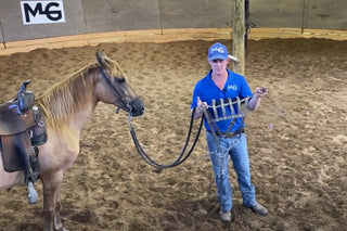 Breeching Gaited Horses