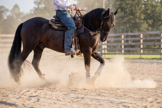 Riding The Eye: A Guide To Dealing With Bucking Horses