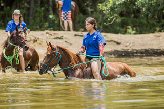 Confident Horse Help Train-Off contestants skillfully navigating their way through a body of water, demonstrating horsemanship and versatility in the competition.