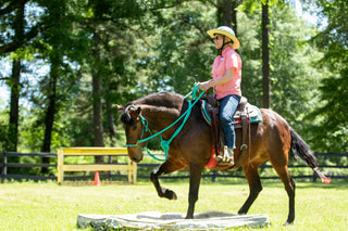 Image of a retreat participant confidently guiding her horse through an obstacle, demonstrating skill and partnership during the retreat activities.