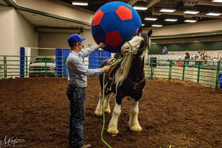 Michael Gascon actively teaching attendees during a Gascon horsemanship clinic, sharing knowledge and skills in equestrian training.