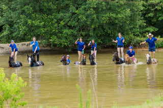 6 Month Academy Program - Professional Horse Trainer Course (50% Off)