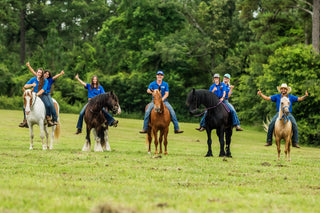 6 Month Academy Program - Professional Horse Trainer Course (50% Off)