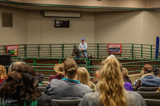 Michael Gascon riding a horse during a Gascon horsemanship clinic session, leading by example and creating a positive equestrian experience.