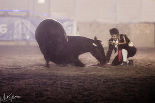 Image of Michael Gascon performing a mesmerizing Matador Liberty Act during the Gascon Horsemanship Never Give Up Tour, showcasing a unique and captivating display of horsemanship skill and connection.
