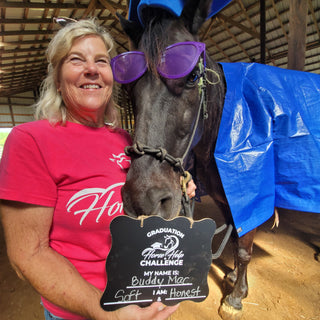 Upgrade To VIP For The Horse Help Challenge