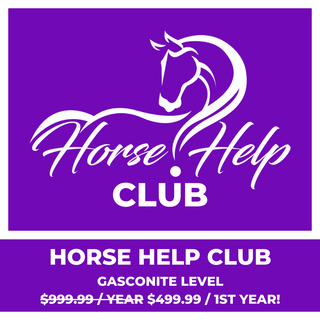 Image featuring the Horse Help Club Gasconite level, valued at $499.99 for the first year. Elevate your equestrian journey with premium features, personalized coaching, and exclusive perks.