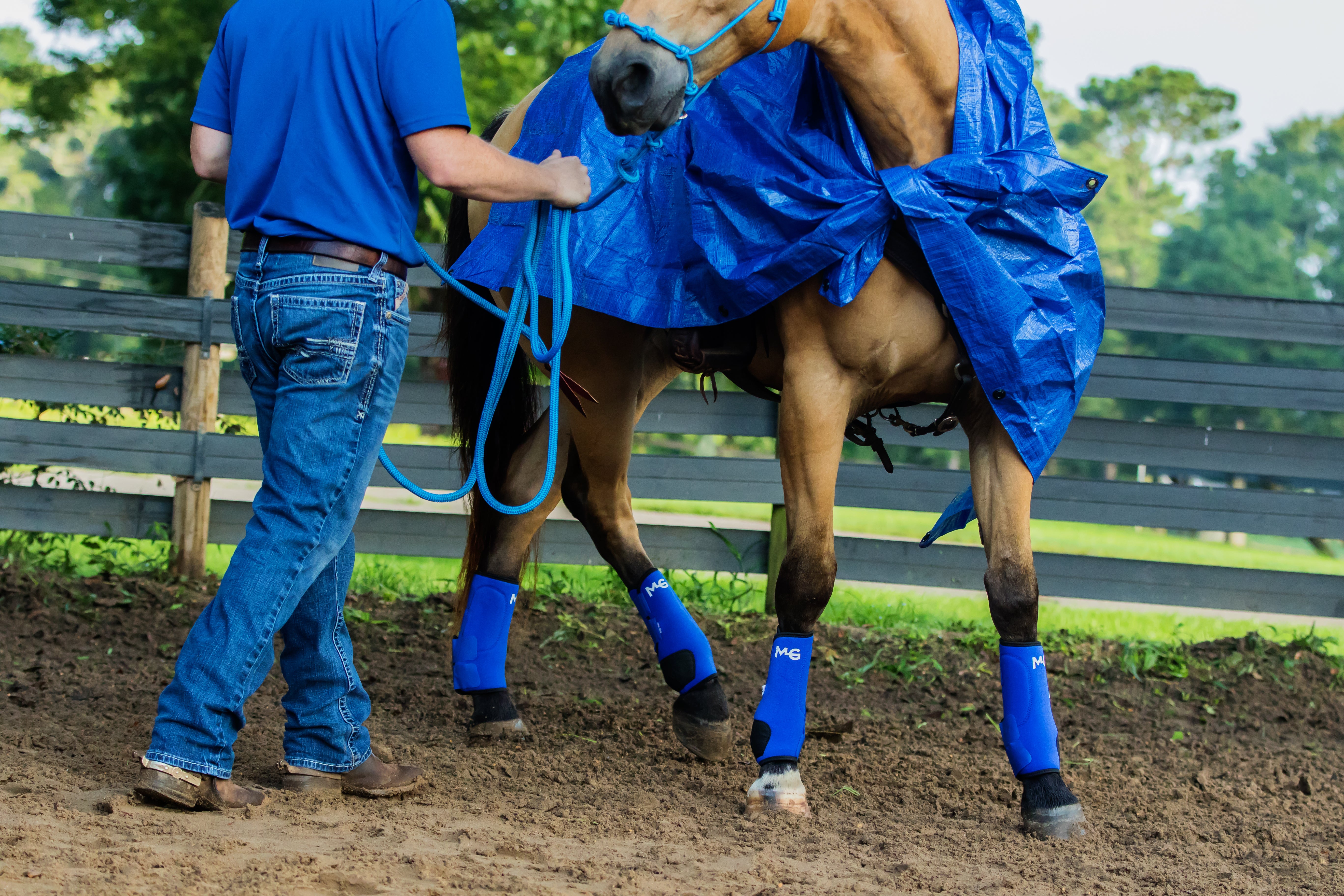 tarp training Horse Training Tarp – Horse Help