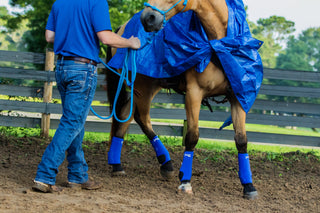 Image of Michael Gascon actively desensitizing a horse, showcasing the use of MG sport boots, halter, and reins, highlighting the importance of gear in the desensitization training process.