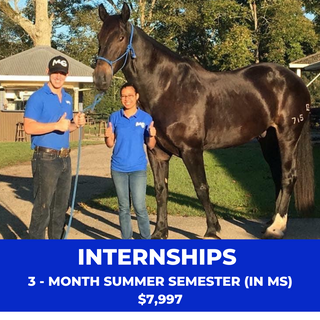 Michael Gascon posing with an intern from the Horse Help Internship program alongside her horse. This image serves as a promotional feature for the 3-month summer internship semester valued at $7,997. Michael Gascon stands beside the intern, both smiling confidently, symbolizing the mentorship and hands-on learning offered in the internship program.