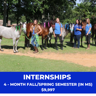A group of interns from the Horse Help Internship program posing proudly with their horses. This image serves as a promotional feature for the 4-month fall/spring internship semester valued at $9,997. The interns are standing beside their horses, demonstrating their commitment to equine education and readiness to embark on their equine careers.