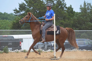 Image of a customer engaging in an activity with her horse showcasing a dynamic and interactive session between the rider and her equine companion.