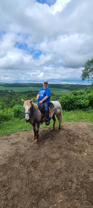 Image of an elegant horse ride with the horse adorned in the MG blue halter and reins, positioned on top of a hill, overlooking a scenic view, capturing a picturesque and serene equestrian moment.