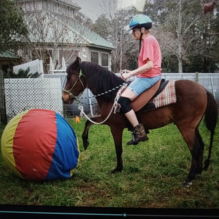 Image of a customer engaging in an activity with her horse, accompanied by a ball, showcasing a dynamic and interactive session between the rider and her equine companion.