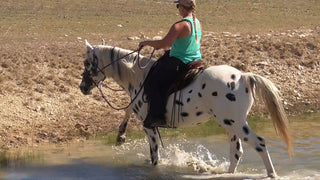 Image of a confident horse rider skillfully crossing a body of water, showcasing both the rider's poise and the horse's confidence in navigating aquatic terrain.