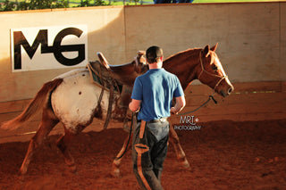 Michael Gascon actively working on a horse in an arena, demonstrating training techniques and skill development in a controlled environment.
