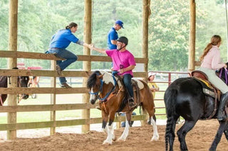 Horse Help Challenge (100% FREE For New Challengers!)