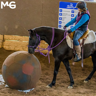 Jolly Mega Ball + Cover Combo = Free Horse Soccer Championship Entry!