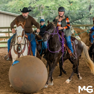 Jolly Mega Ball + Cover Combo = Free Horse Soccer Championship Entry!