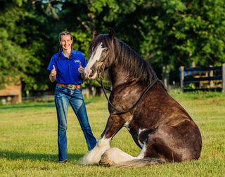 6 Month Academy Program - Professional Horse Trainer Course (50% Off)