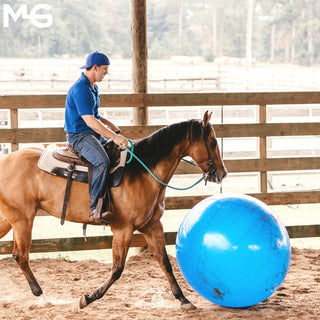 Jolly Mega Ball