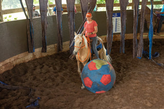 Jolly Mega Ball
