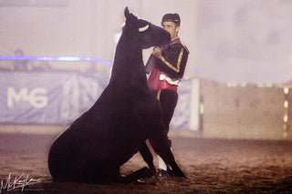 Image of Michael Gascon performing a mesmerizing Matador Liberty Act during the Gascon Horsemanship Never Give Up Tour, showcasing a unique and captivating display of horsemanship skill and connection.
