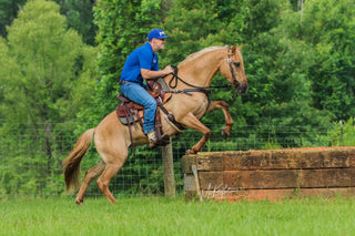 Michael Gascon guiding a horse through an obstacle, demonstrating training and skill development in an equestrian setting.
