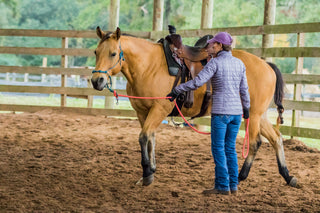 Horse Help Challenge (100% FREE For New Challengers!)