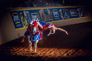 Image of a Trixie Chicks Rider performing during a Trixie Chicks Riders performance, showcasing extraordinary equestrian skills and thrilling tricks.