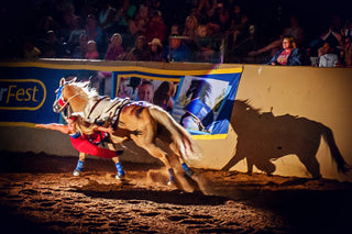 Image of a Trixie Chicks Rider performing during a Trixie Chicks Riders performance, showcasing extraordinary equestrian skills and thrilling tricks.