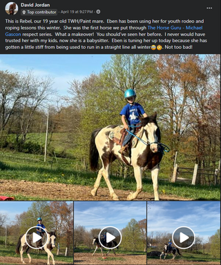 Horse Help Challenge (100% FREE For New Challengers!)